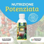Foto 2 di 7