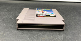 Double Dragon II: The Revenge (Nintendo Entertainment System NES) Cartridge Only
