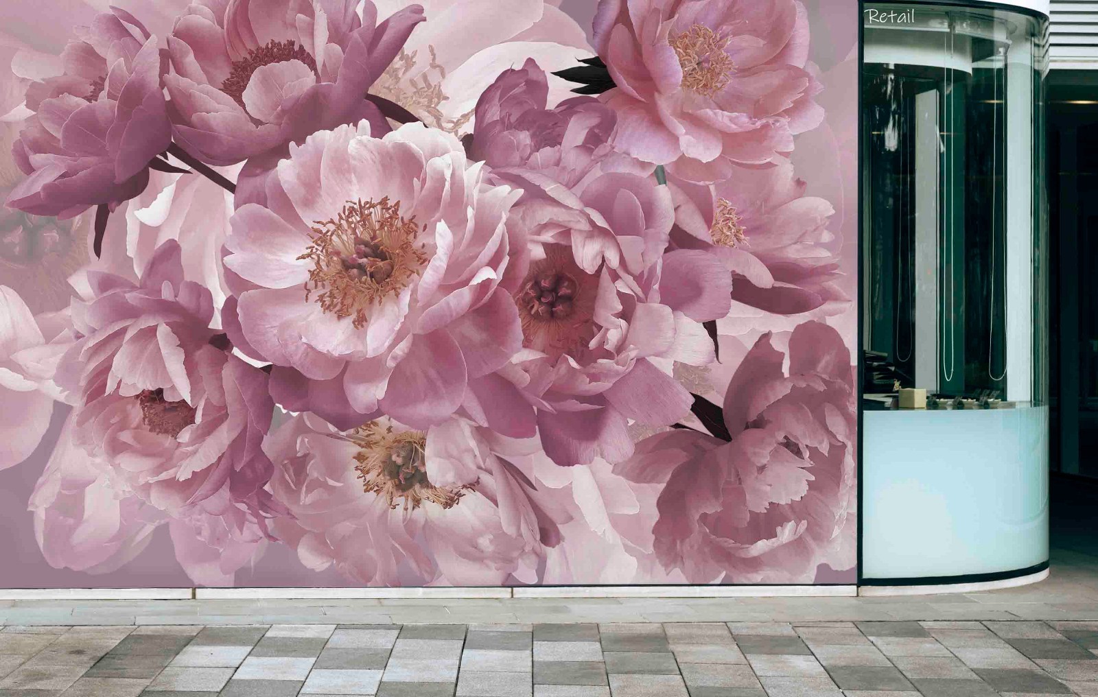 3D Retail Peony Plants Close-up Wall Murals Wallpaper Murals Wall Sticker