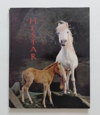 Les Chevaux Blancs De La Camargue