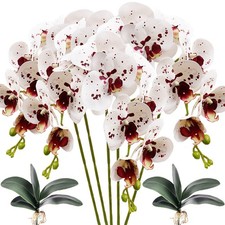 HinyoCo 5 Pcs Artificial Orchid Flowers and 2 Bundles Leaves  White with S