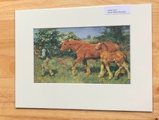 SIR ALFRED MUNNINGS; ``SUNNY JUNE``. MOUNTED GYPSY HORSES PRINT. ART.