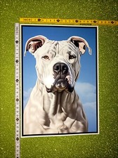 Cane Molosso White Dogo Argentino Pitbull - Poster Film Manifesto Big Sticker 
