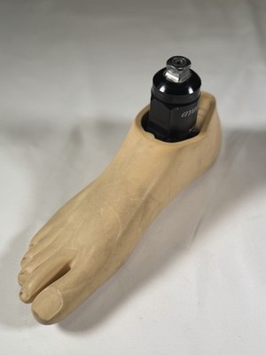 Blatchford Endolite Avalon K2 hydraulic Ankle Prosthetic size 26 Right Foot