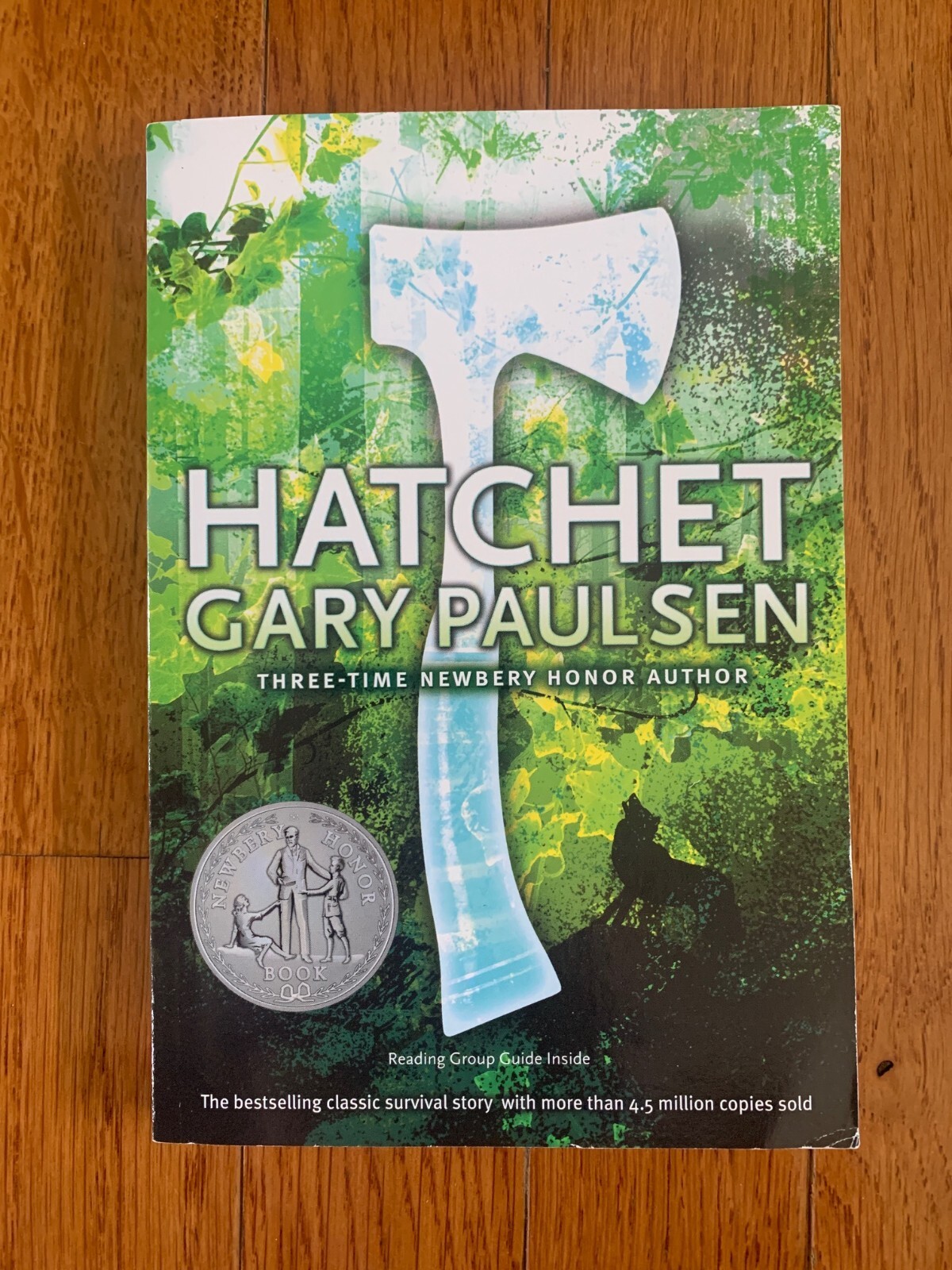 Hatchet by Gary Paulsen (2006, Mass Market)
