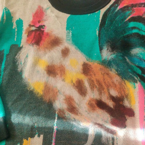 Anthropologie Womens Rooster Sweater Artwork Lauren C Walcott Fuzzy Size Small - Picture 2 of 12