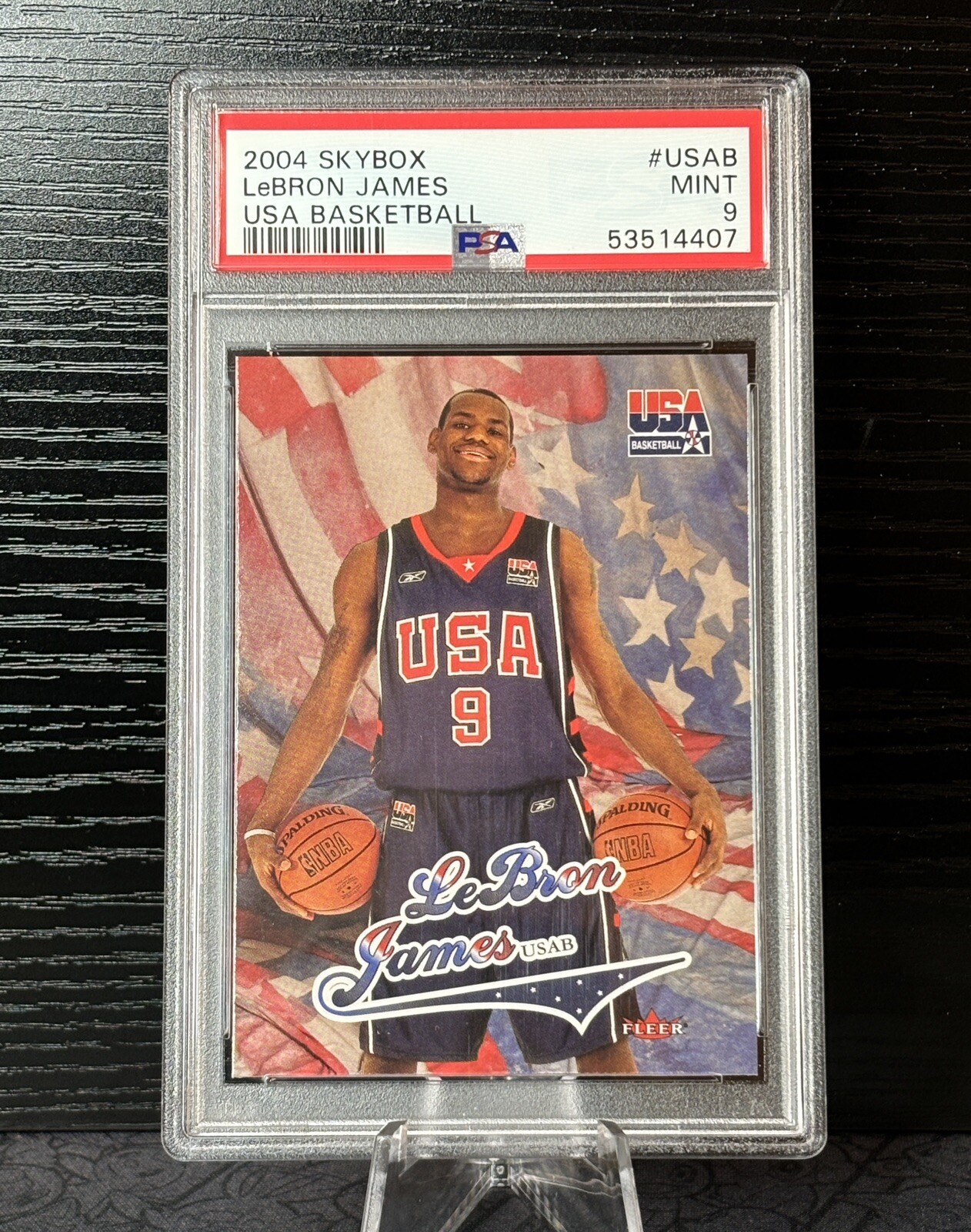 LeBRON JAMES 2004 SKYBOX USA BASKETBALL #USAB CAVALIERS PSA 9