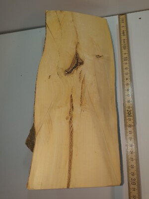 1 Halb Stamm Drechselholz Buchsbaum Buxus Buchsbaumholz Edelholz 1945g TOP