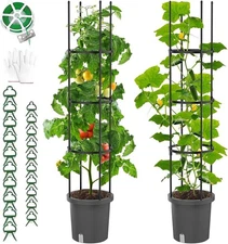 2 Pack Raised Garden Bed Tomato Planter with Trellis, Self Watering Planter Box