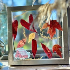 Pressed Flowers FloutGlass Frames 8x 8 Inch, Hanging Double Glass Picture 1 Gold