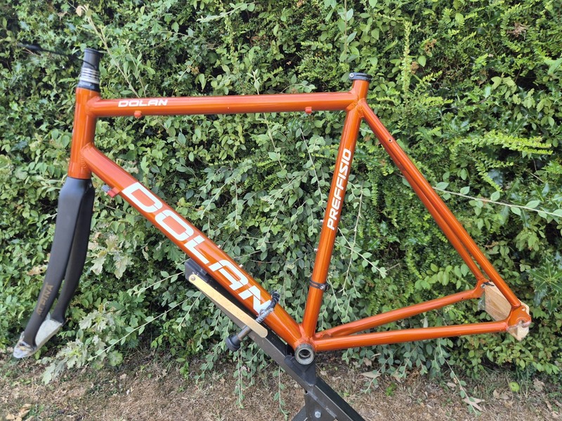 NOS Dolan 55cm Aluminium Frameset With Alpina Forks