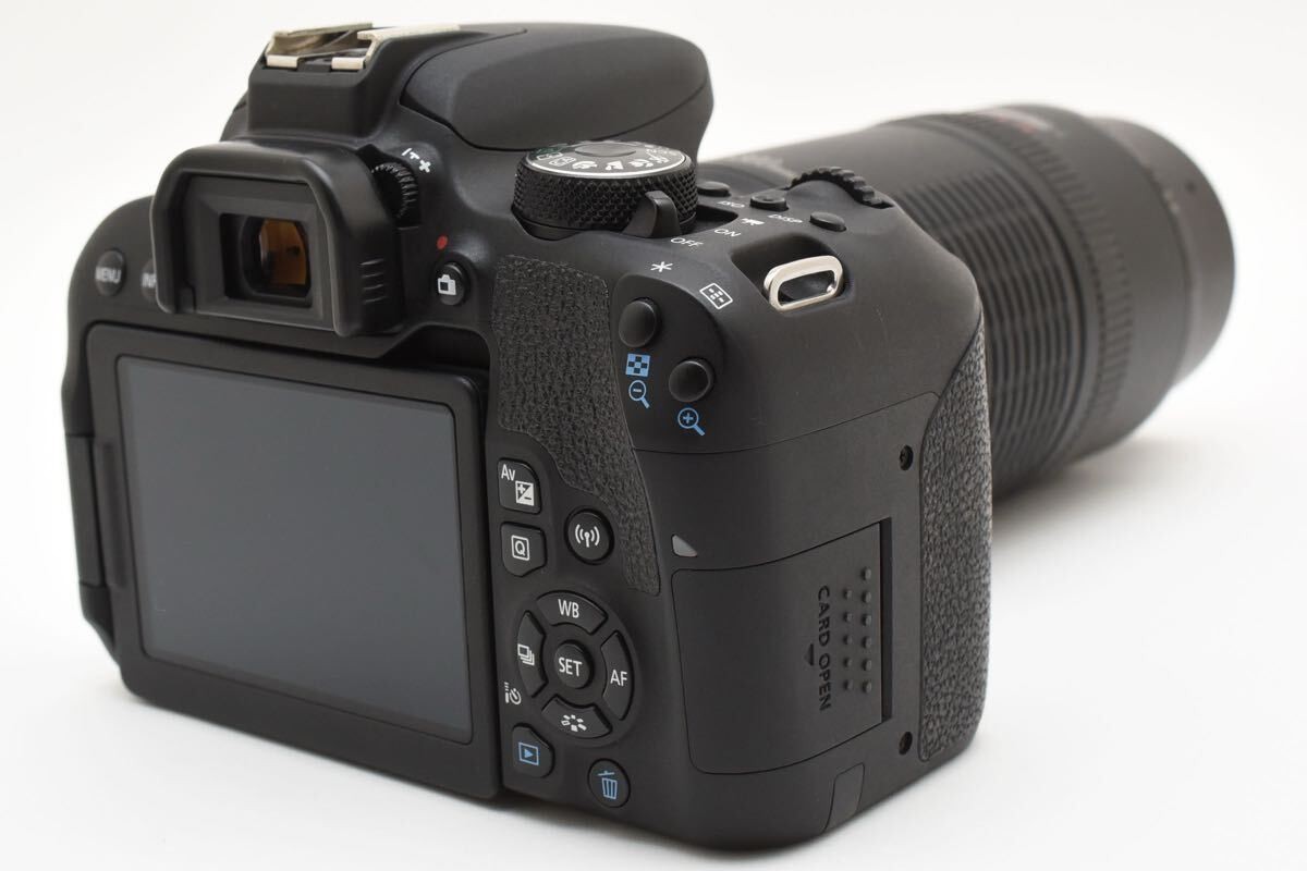canon kiss x9i + Canon 100-300mm 1:5.6