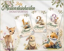 Baby Meilensteinkarten | Fuchs Hase Rehkitz | Monatskarten | Größe A5