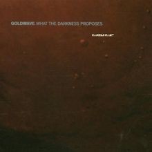 What the Darkness Proposes von Goldwave | CD | Zustand gut
