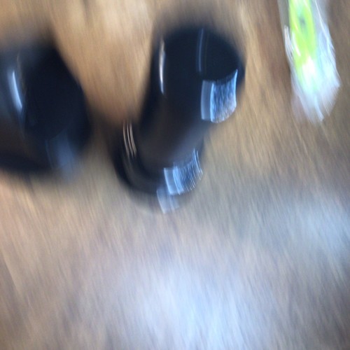 OEM AMZCHEF ZM1501 Cold Press Juicer, Slow Masticating 6 Replacement Parts ONLY - Picture 12 of 16