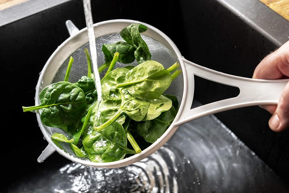 - Colino in Plastica Con Rete in Nylon, 15 Cm, Bianco - Immagine 4 di 4