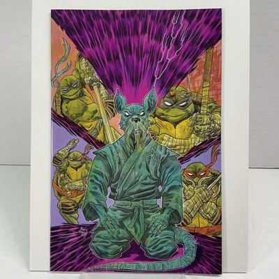 Teenage Mutant Ninja Turtles #1, Alex Riegel Virgin Variant LTD 250