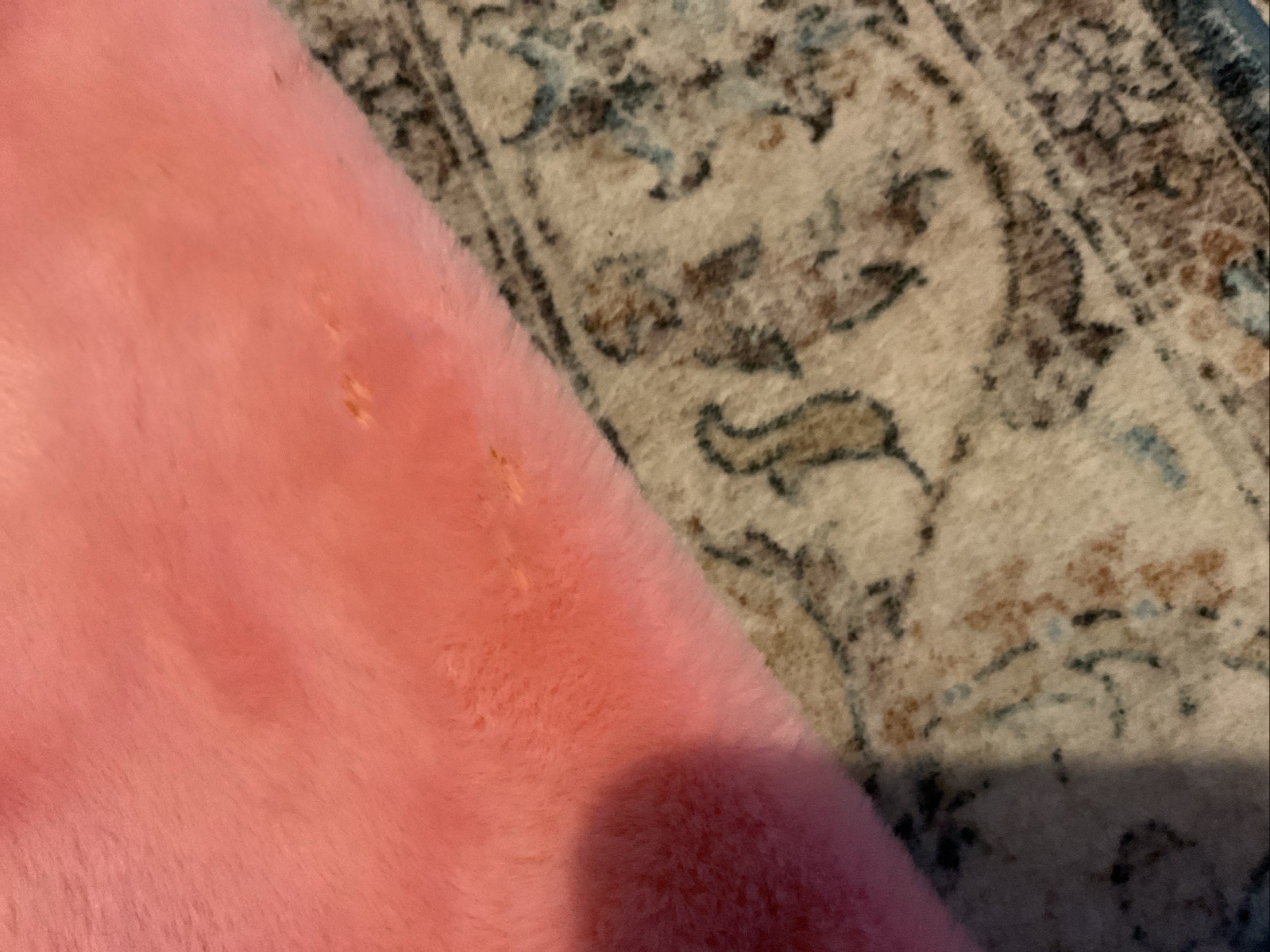 Fluffy Jacket - image 4