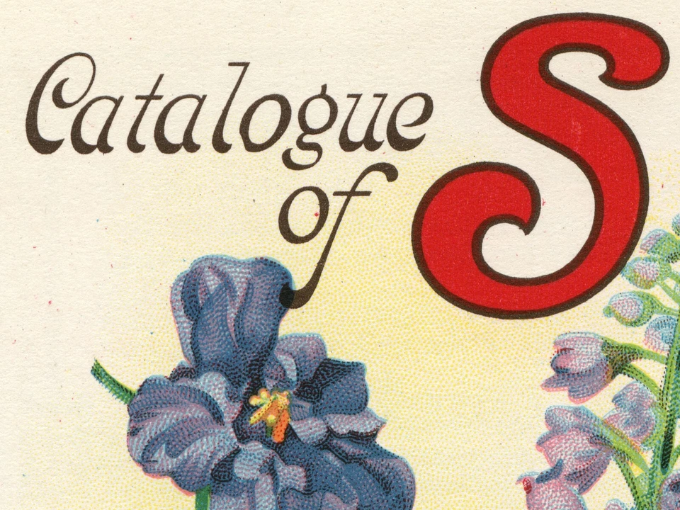 1929 种子目录后盖海报! (最大 24 英寸 x 36 英寸)- 花 - 春天 — 第 4/4 张图片