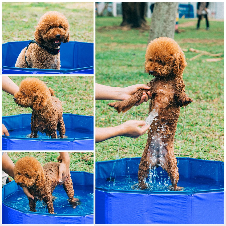 Hundepool Hunde Swimmingpool Hunde Pool Faltbar Hundebadewanne Schwimmbeck - Bild 4 von 4
