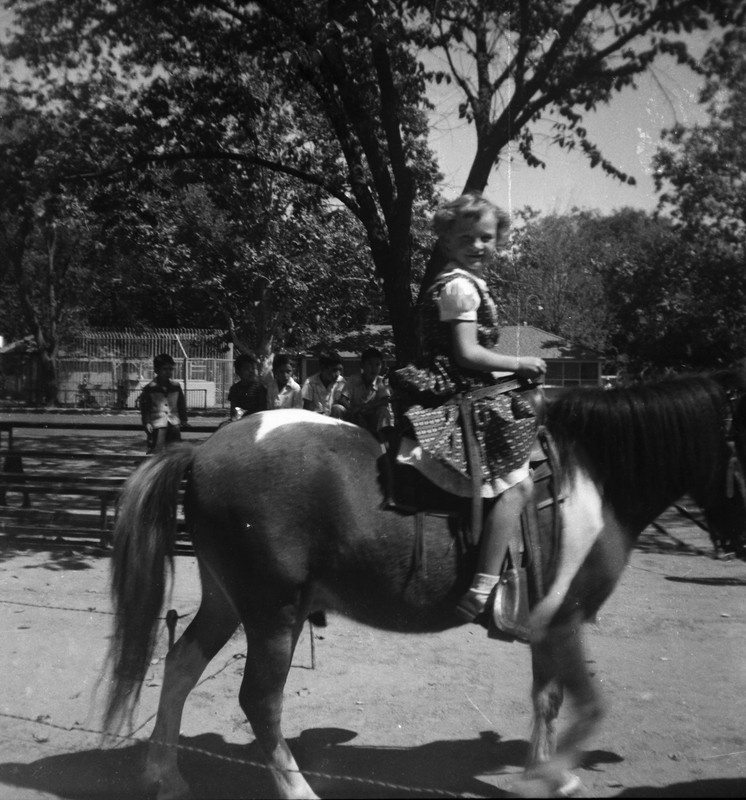 Vintage Oversized Photo Negative Cute Girl Horse Pony Ride