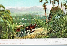 VIntage Postcard-Redlands from Smiley Heights, CA