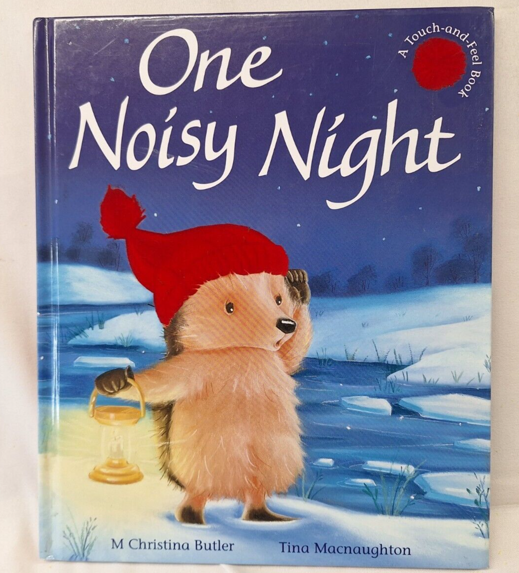 One Noisy Night Hardback M Christina Butler Tina Macnaughton ISBN 9781848692718