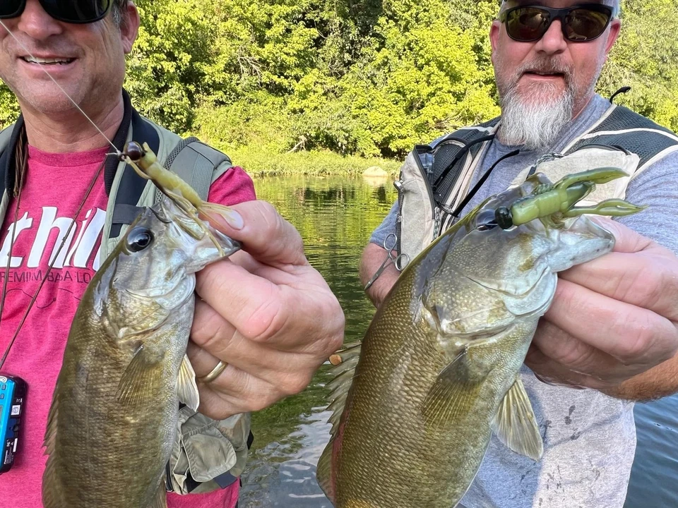 Kit de pesca Rebel LIVEflex Family - Imagem 3 de 4