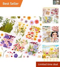 Vibrant 124 Pcs Real Dried Flowers  Leaves with Tweezers for Crafts and Jewelry