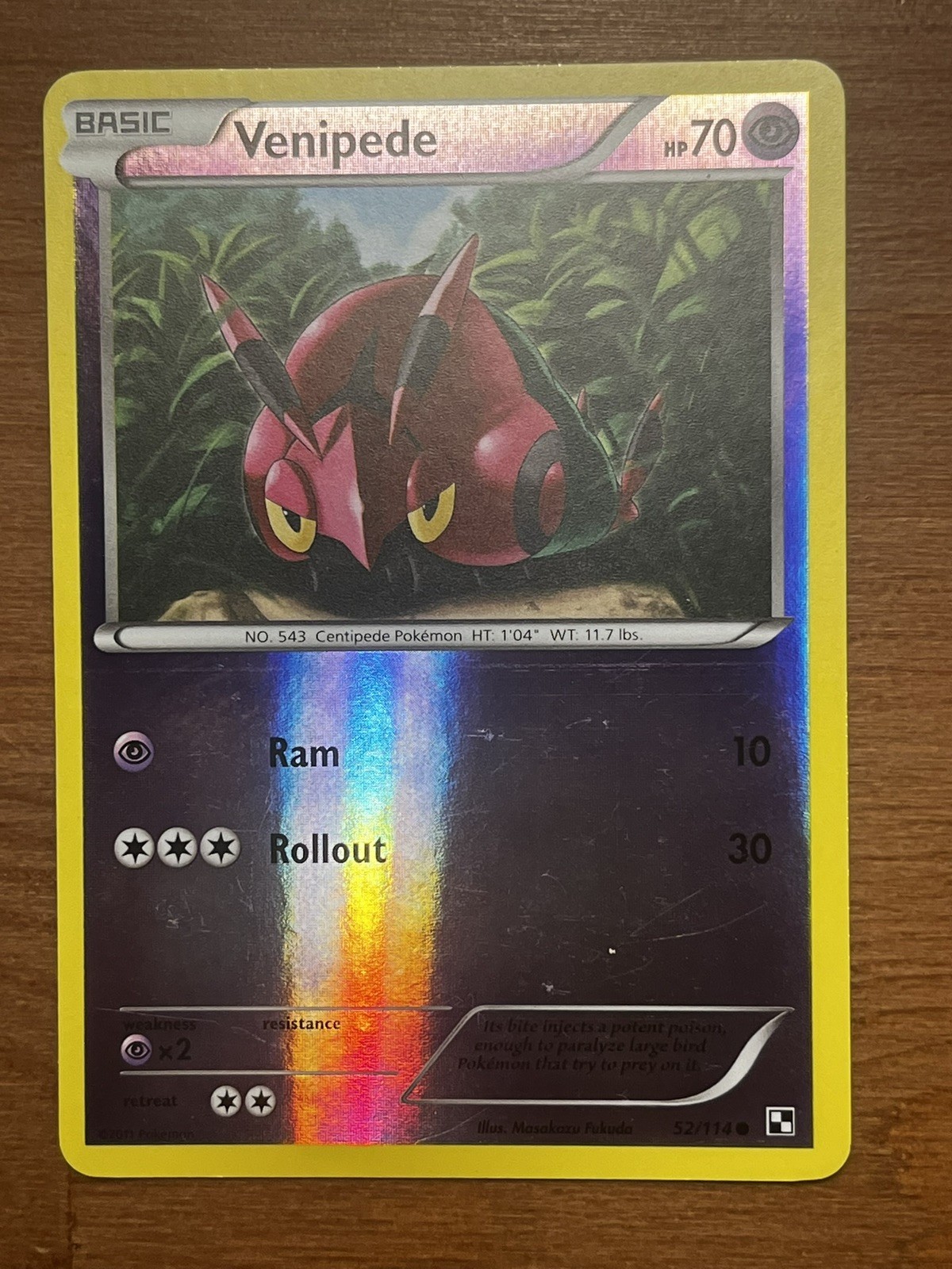 Pokémon Venipede 52/114 Reverse Holo – Black & White Base Set Uncommon