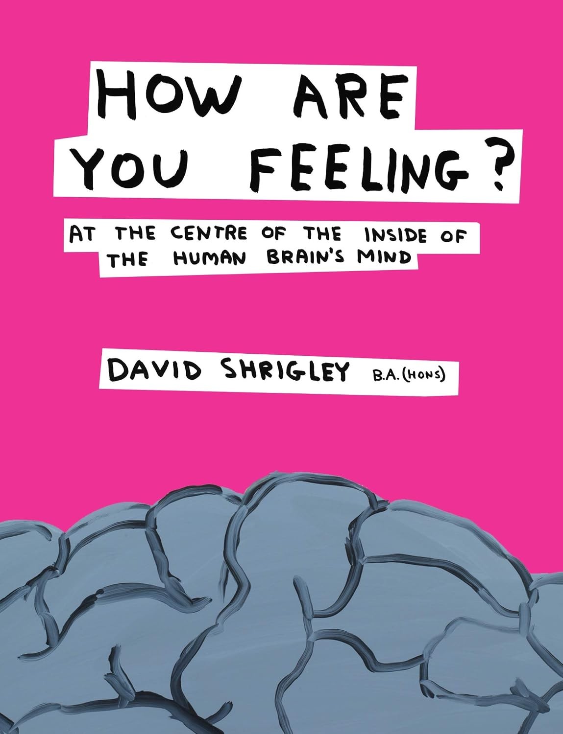 How Are You Feeling David Shrigley Illustrated Humour Book - Image 5