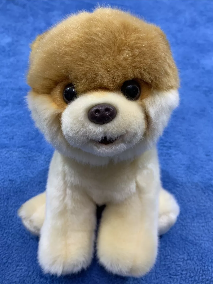 Gund World's Cutest Dog Boo Cream Husky 10 Plush Soft Toy Stuffed Animal