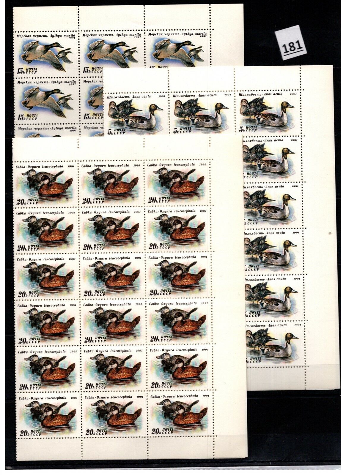 36X RUSSIA - MNH SHEETS Large-scale sale 1991 BIRDS security DUCKS WHOL BENT