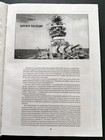 Picture 11 of 24
