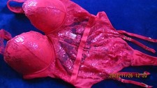ANN SUMMERS UNDERWIRED/PADDED RED BODY SUSPENDER SIZE 12 D-DD NWT 'THE CARMEN