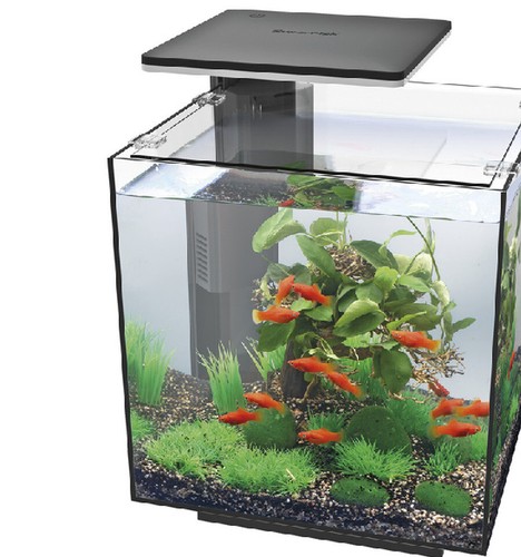 Mame Dezain Mame Overflow Aquarium Japan Import | eBay