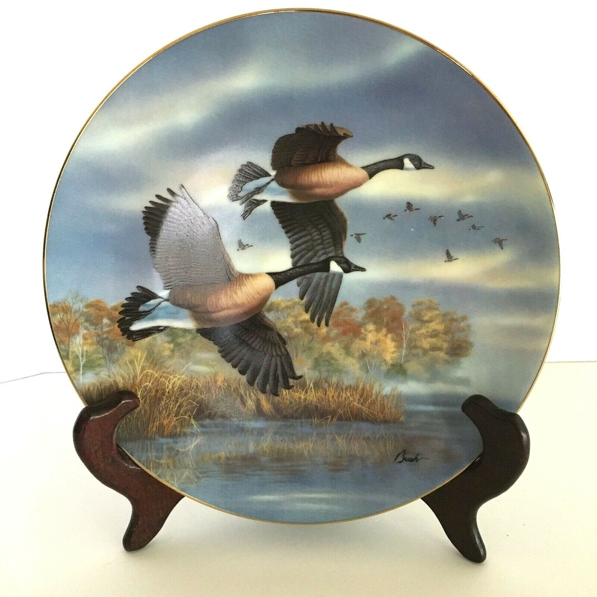 Golden Goose Canada Goose Leon De Oro Grey Goose Northern Lights