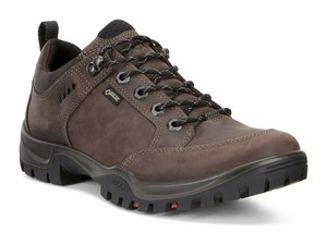 ecco hiking boots for men