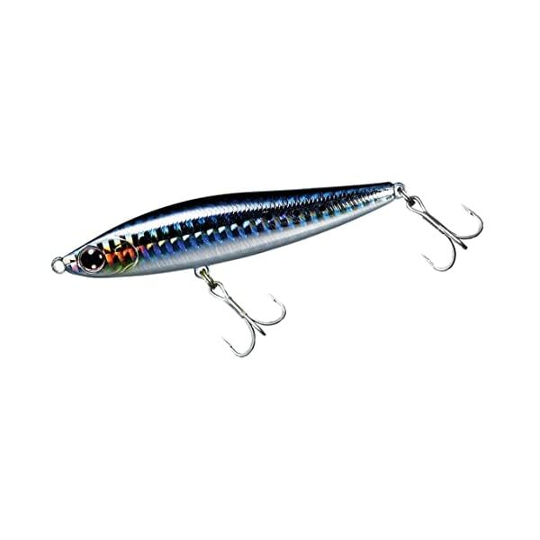 Daiwa minnow sea bass More Than switch-hitter 65S laser sardine lure F/S wTr FS