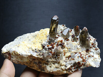 0.73LB Spessartine Garnet&Smoky Quartz Crystal CLUSTER POINT Mineral Specimen 
