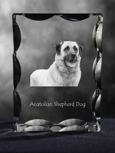 Anatolian Shepherd Dog, Turkish Kangal Dog - crystal with a picture of a dog, gl - 第 4/6 張圖片