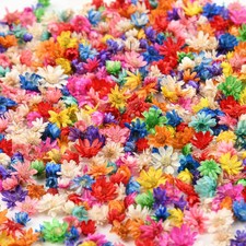 880 Pcs Small Dried Flowers for Resin - Include Tweezers, Colorful Real Natur...