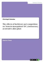 The Effects Of Herbivory And Competition On 'Senecio Inaequidens' Dc. (Asteracea