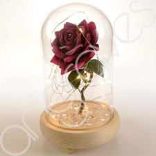 Magical Pink Handmade Enchanted Rose in Glass Dome Bell Jar with LED Lights