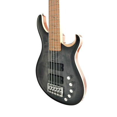 An Exquisite 5th String Bass Guitar with Superior Sound Quality BASS5