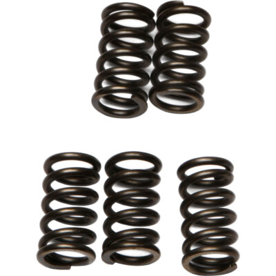 EBC  Clutch Springs Csk78 Suzuki Tl1000s 1997-1998  CSK78  fitment in desc