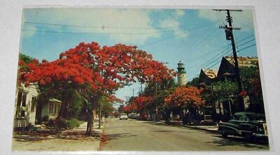 Simonton Street Key West,Florida Lighthouse 1966 Chrome Postcard
