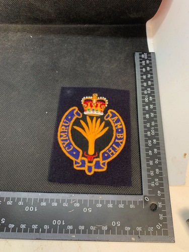 British Army Welsh Guards Regiment Embroidered Blazer Badge - 第 3/10 張圖片