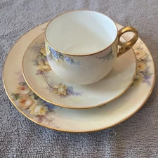 Roses Noritake Japan Teacup, Saucer, And Plate Set With Gold Trim