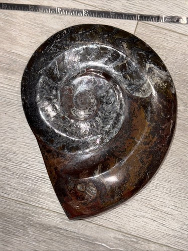 708g Polished Black Ammonite Fossil Conch Specimen Madagascar 7" X 5.5" - Picture 4 of 4